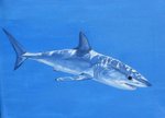 SHARK ART  paintings by SKE