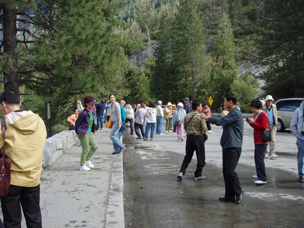 Yosemite Tourists