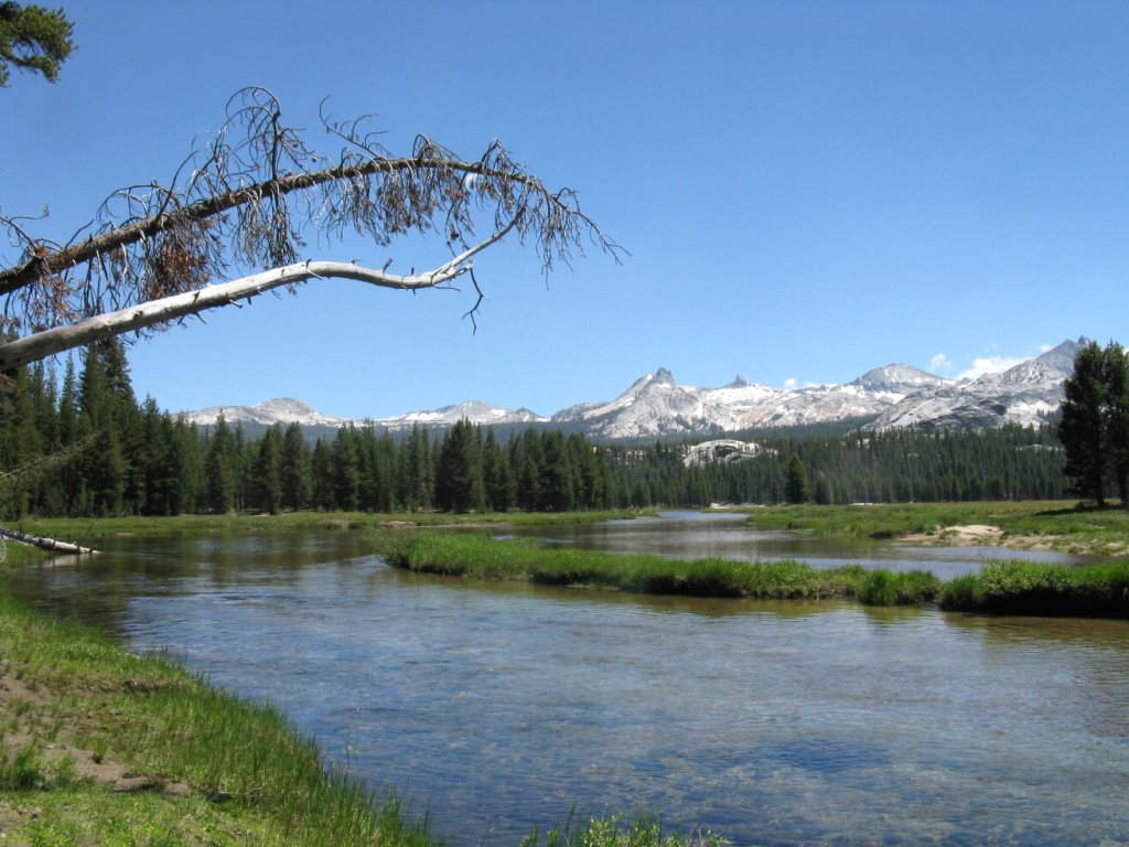 Yosemite 2009 209