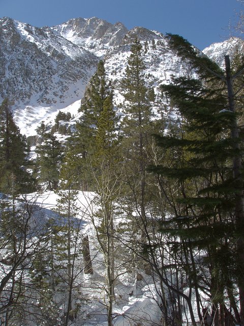 Sierra Peaks and Snow