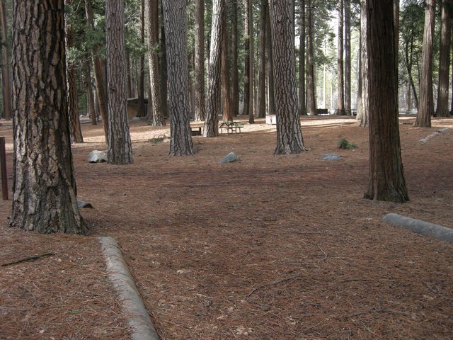 Yosemite Lower Pines Campground Site 44