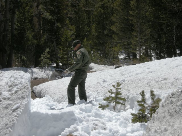Shoveling Snow at Tioga Pass