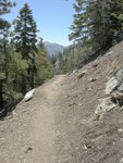 Pacific Crest Trail on Mt. Baden-Powell