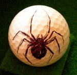 Black Widow on golf ball