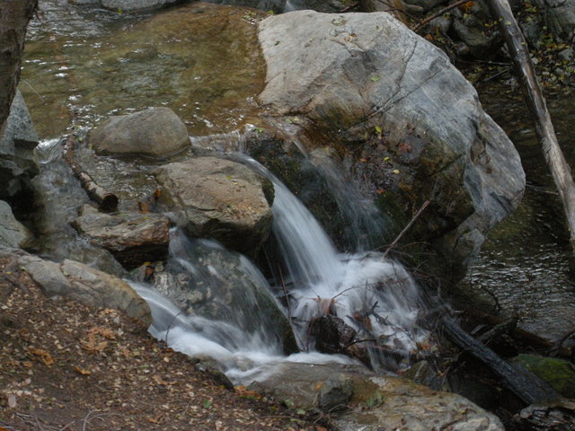 Water flowing from a small spring