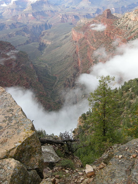 Looking down a side canyon