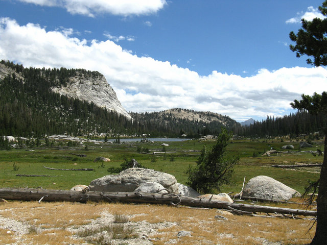 Yosemite 2010 034