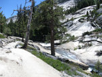 Yosemite 2010 065