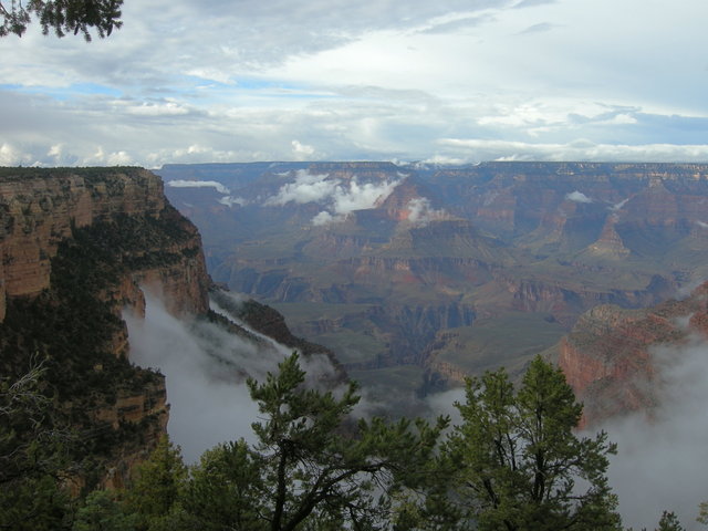 Clouds in the Canyon