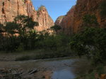 Sun, Shade and the Virgin River
