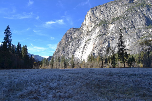 A cold morning in Yosemite Valley