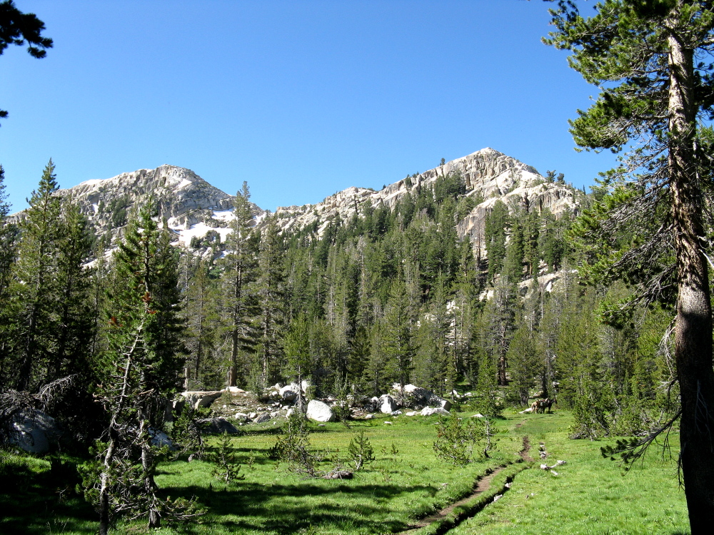 Yosemite 2011 065