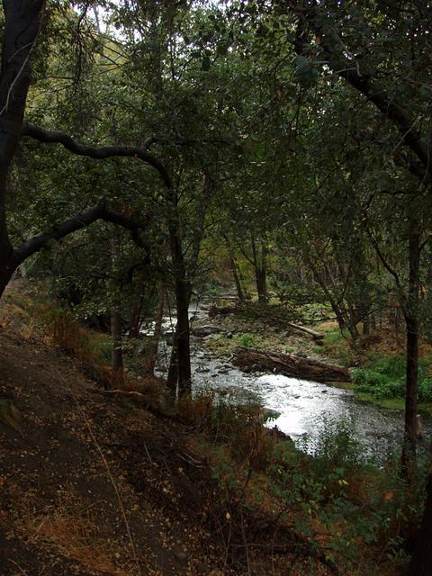 Creek in San Dimas Canyon