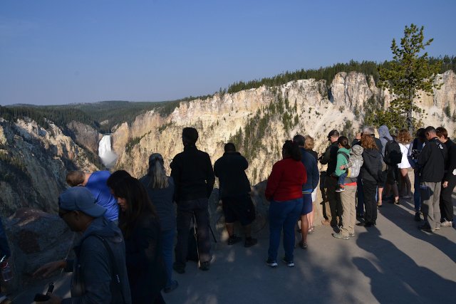 people looking at Lowr Yellowstone Fall