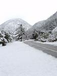 Snow on Mount Baldy Road