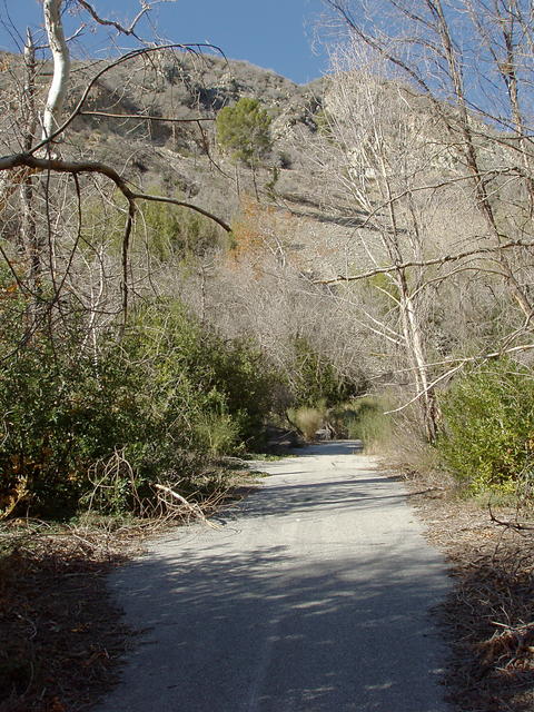 The Old Road to Mt. Baldy