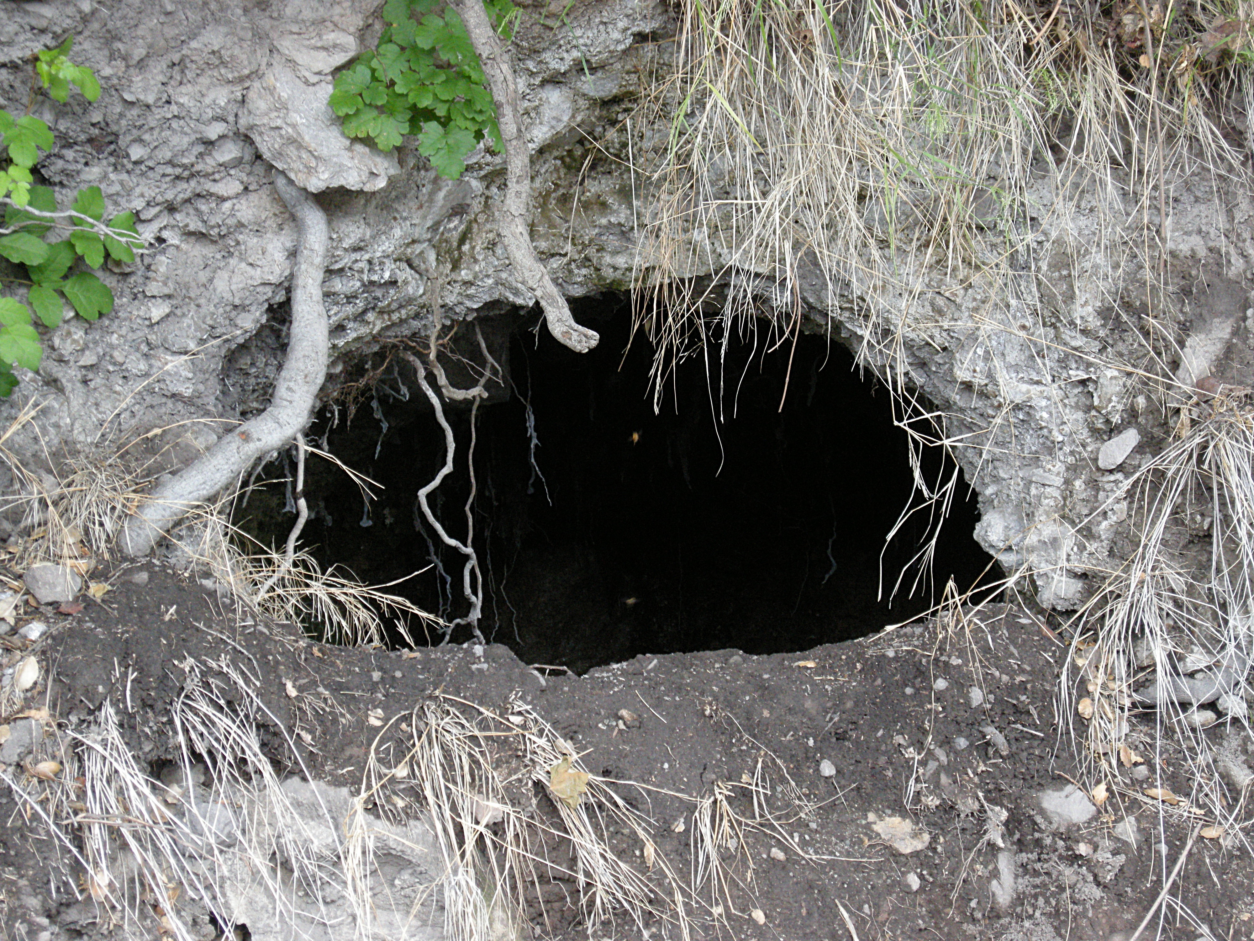 Beehive Cave