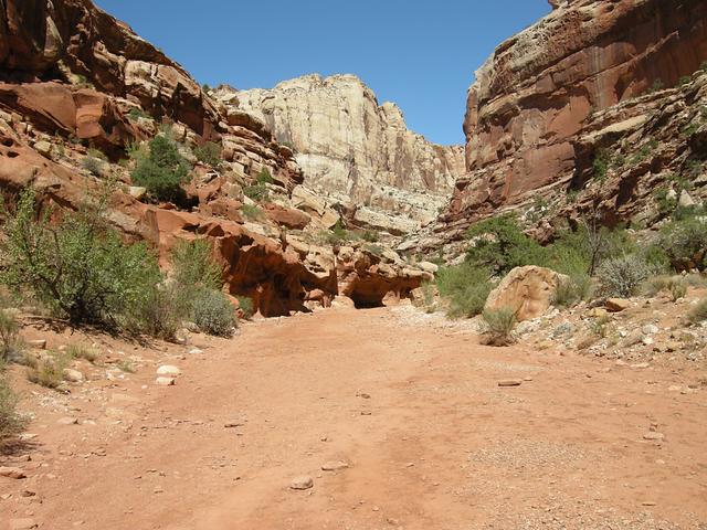 Canyon/trail at Capitol Reef National Park