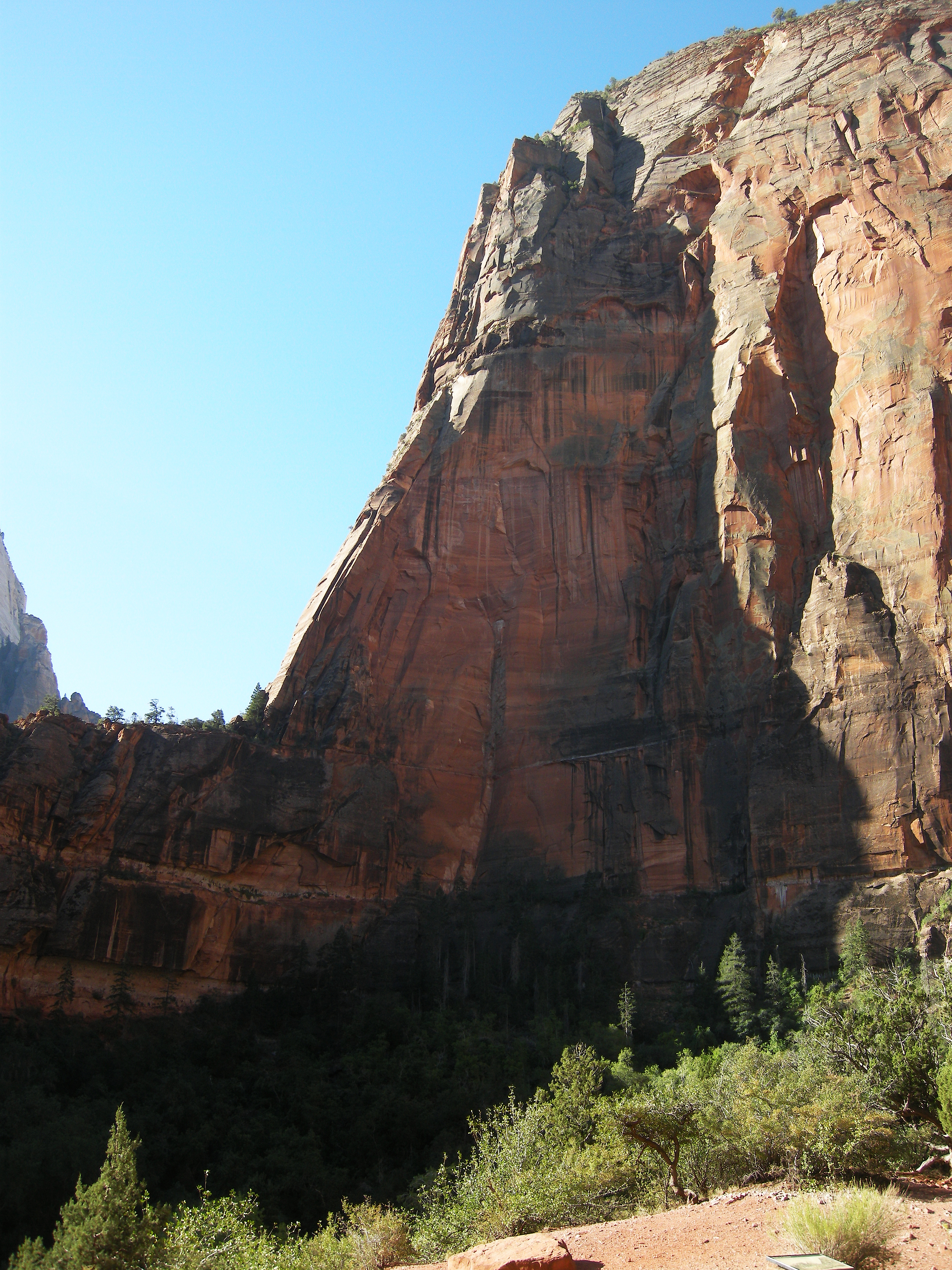 Canyon Wall, Zion National Park