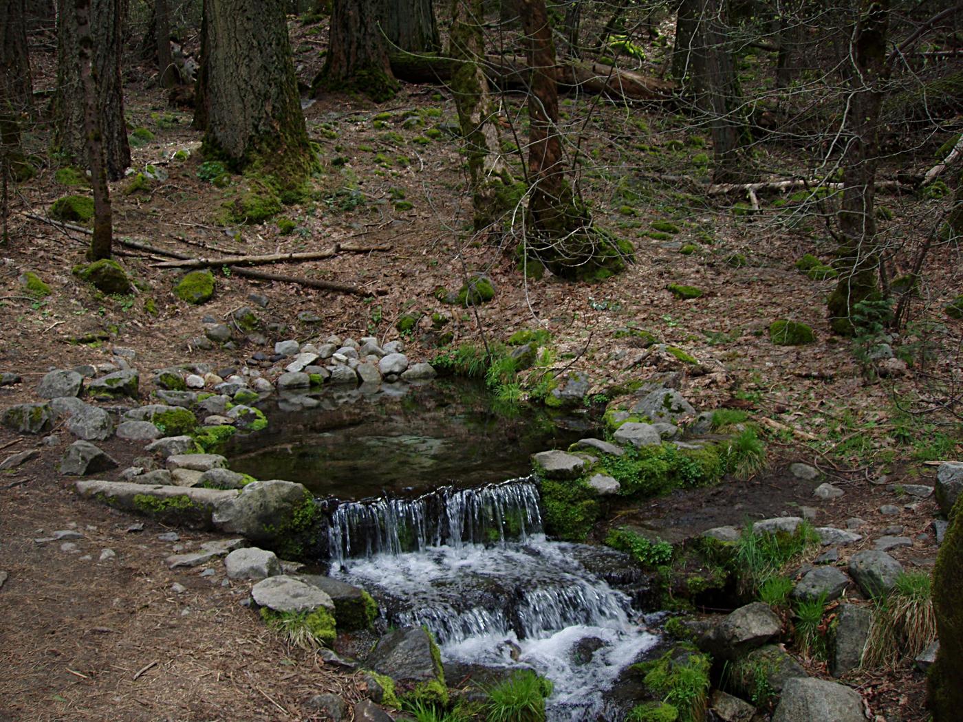 Fern Spring, Yosemite Valley