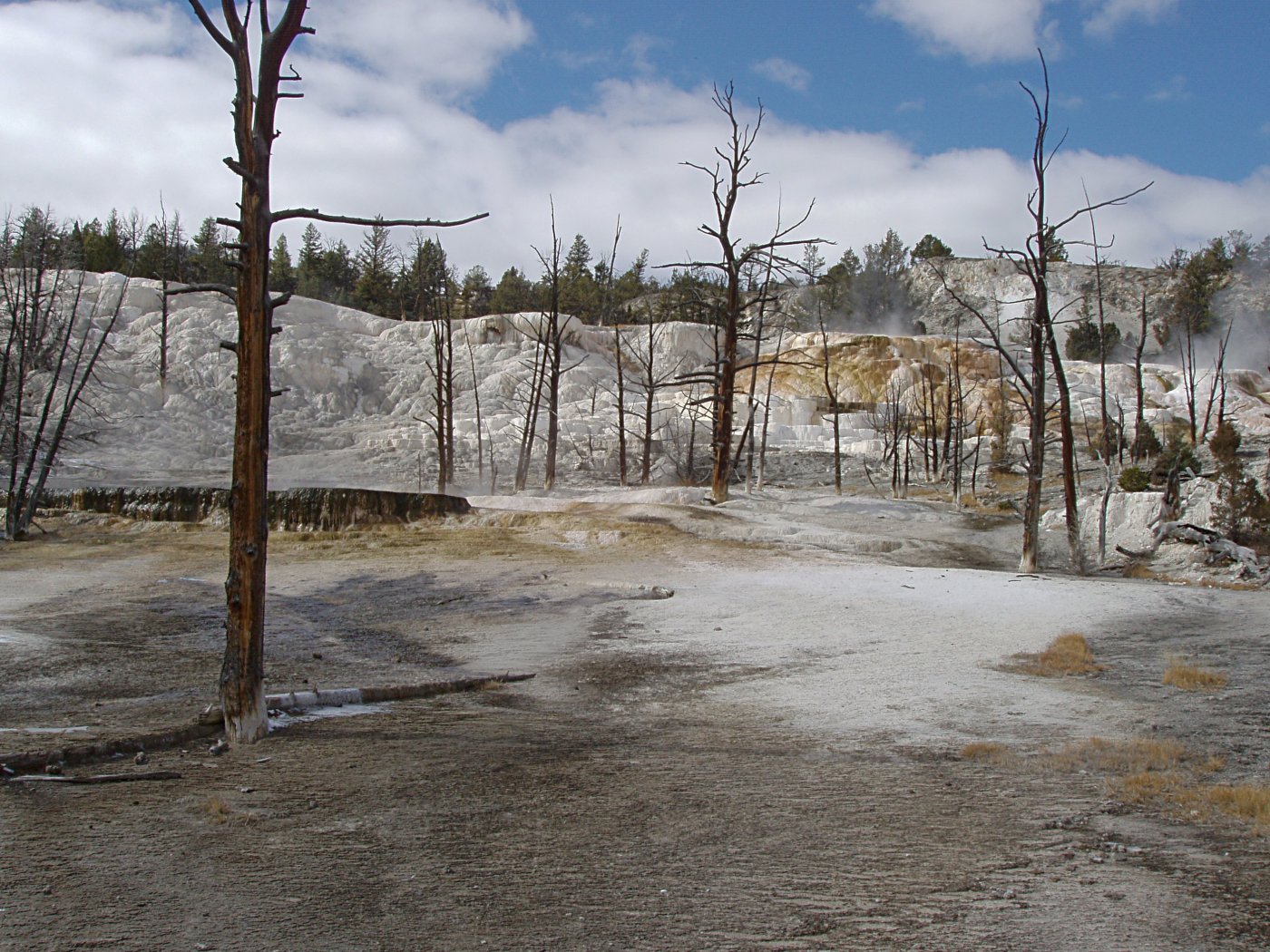 Highland Terrace, Mammoth Hot Springs