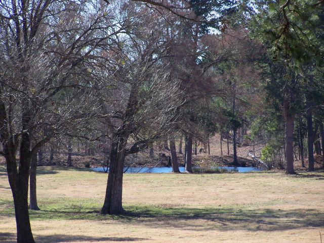 Our Pond 1-2009