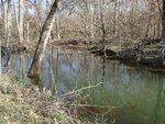 Lisa liked taking photos of our creek