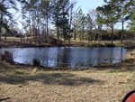 Lisa's husband Donald took this shot of our pond