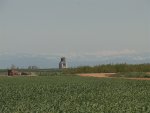 DSC00006