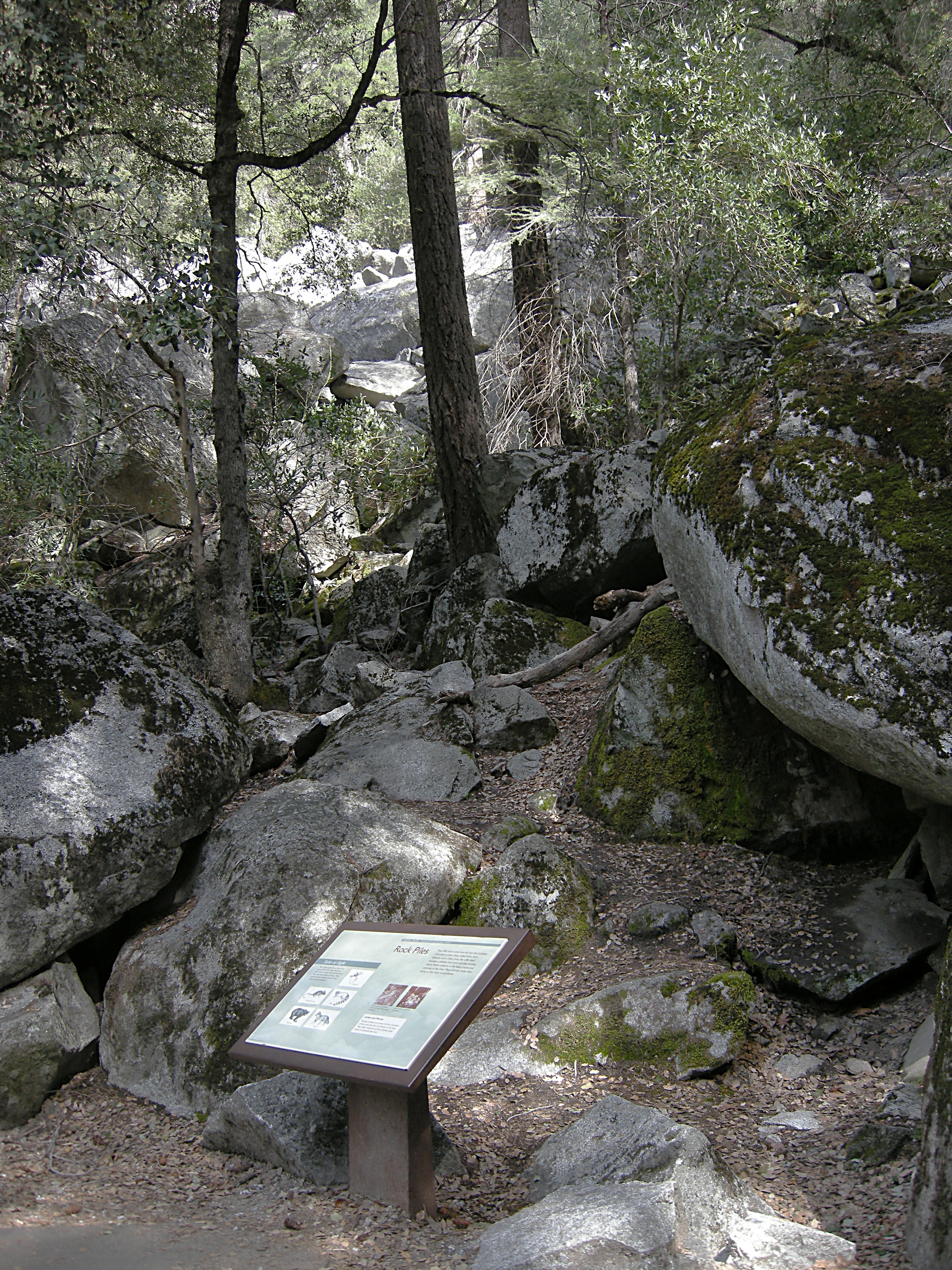 This is where the old trail to Sierra Point leaves the John Muir Trail