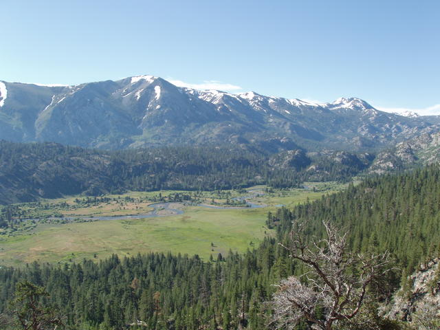 Leavitt Meadow