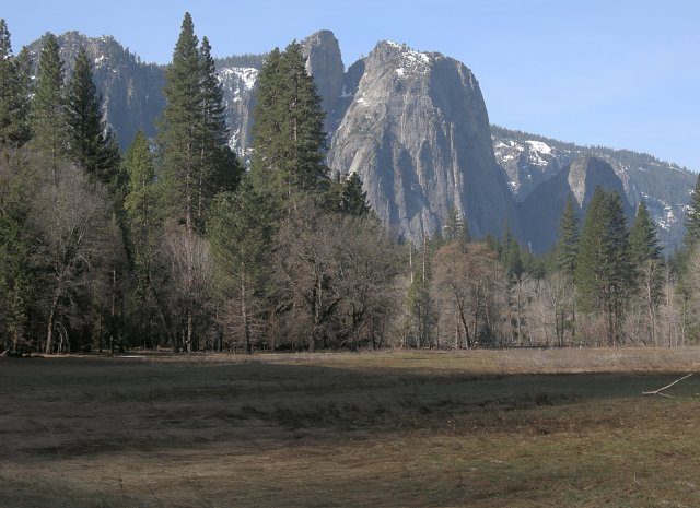 Cathedral Rocks from Sentinel Meadow