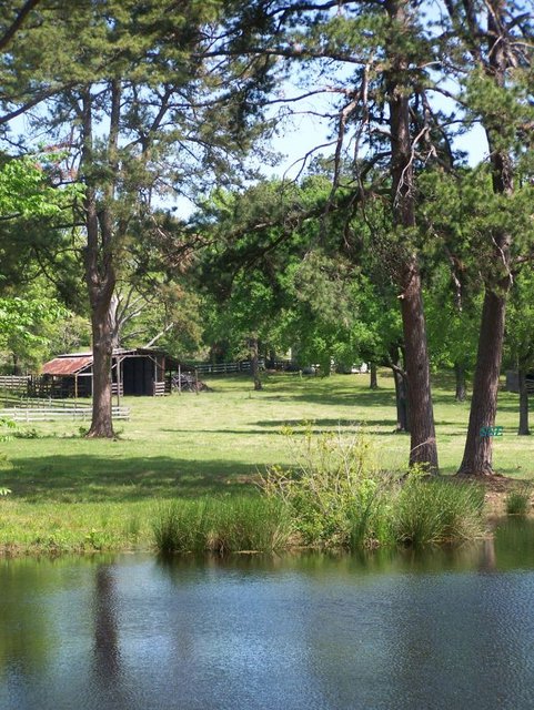 View from pond