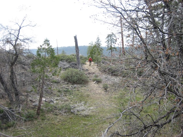 More light colored path