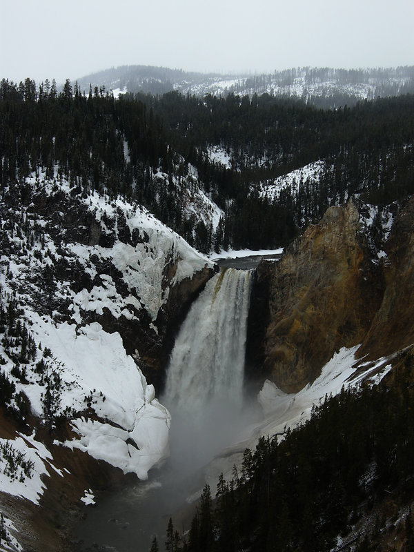 Lower Yellowstone Fall