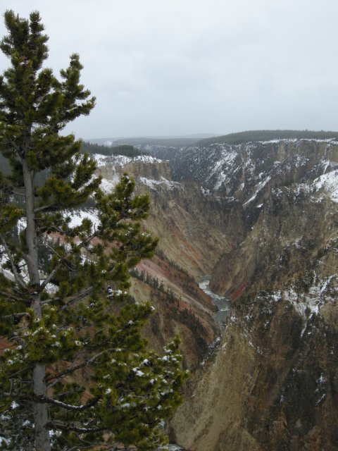 Grand Canyon of the Yellowstone