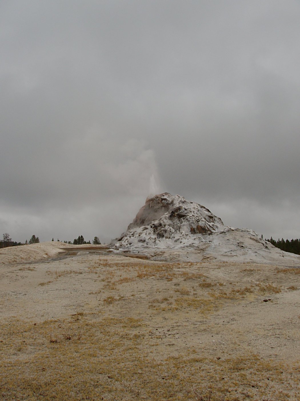 White Dome Geyser Erupting on a Gray Day