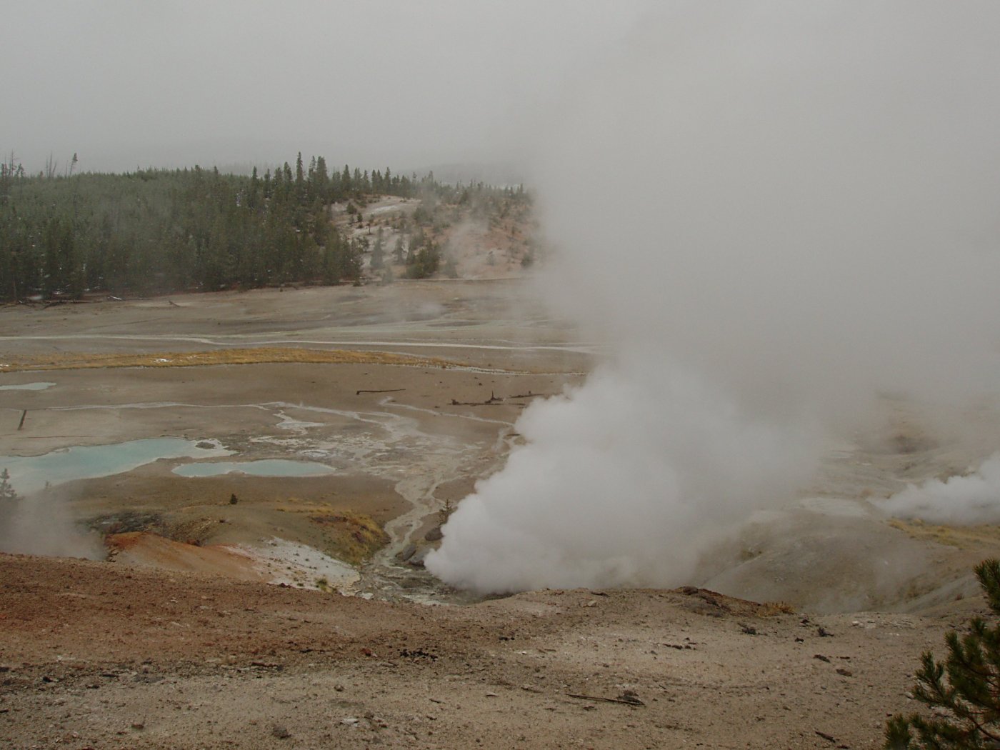 Steam Vent, Norris Geyser Basin