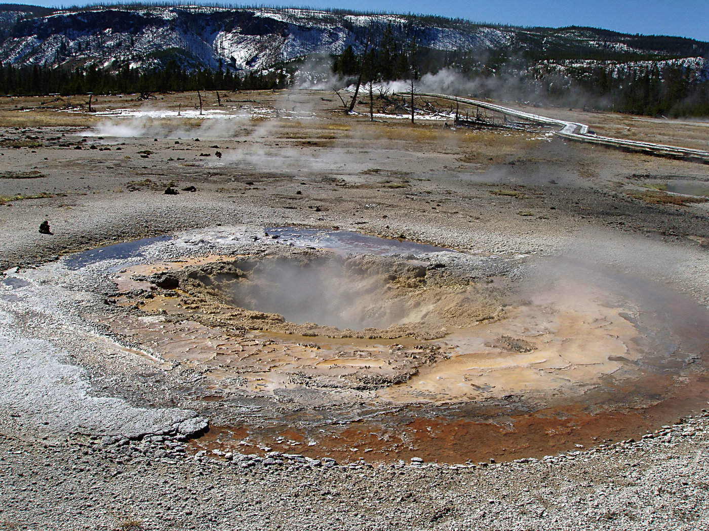 Mustard Geyser