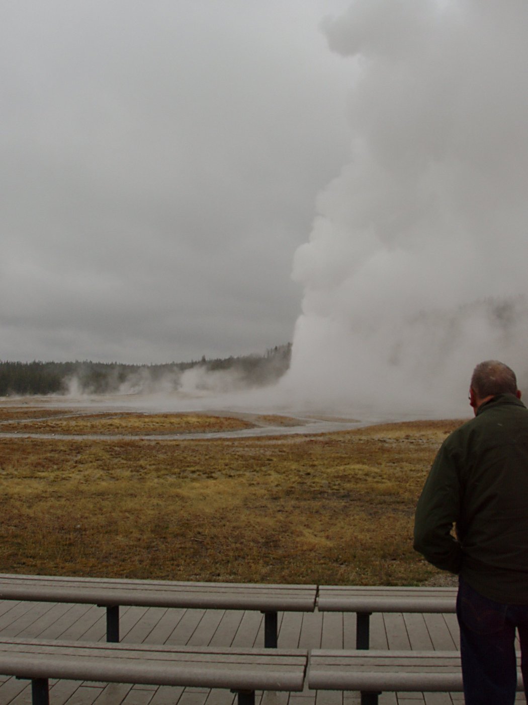 Old Faithful