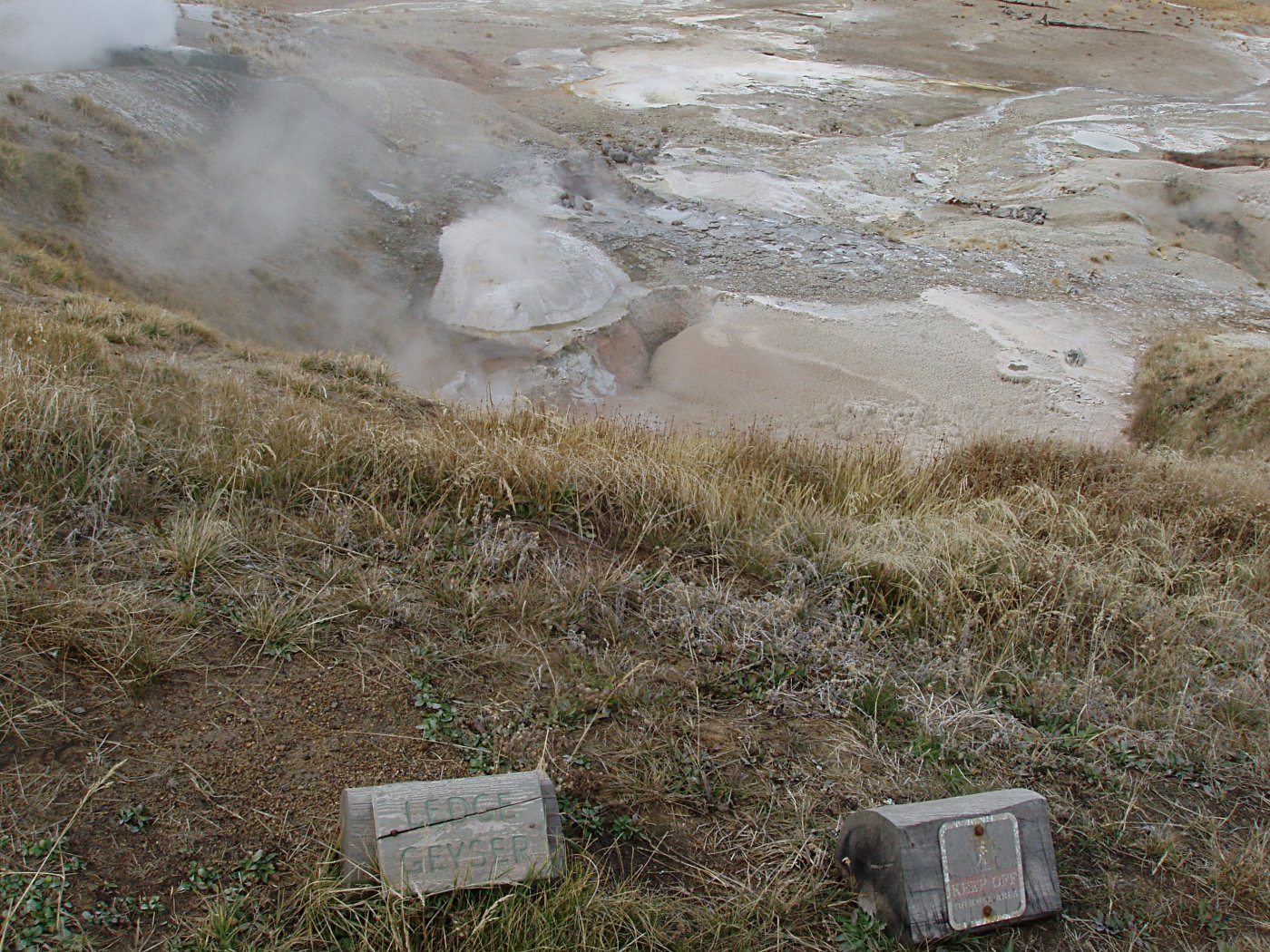 Ledge Geyser - Norris Geyser Basin