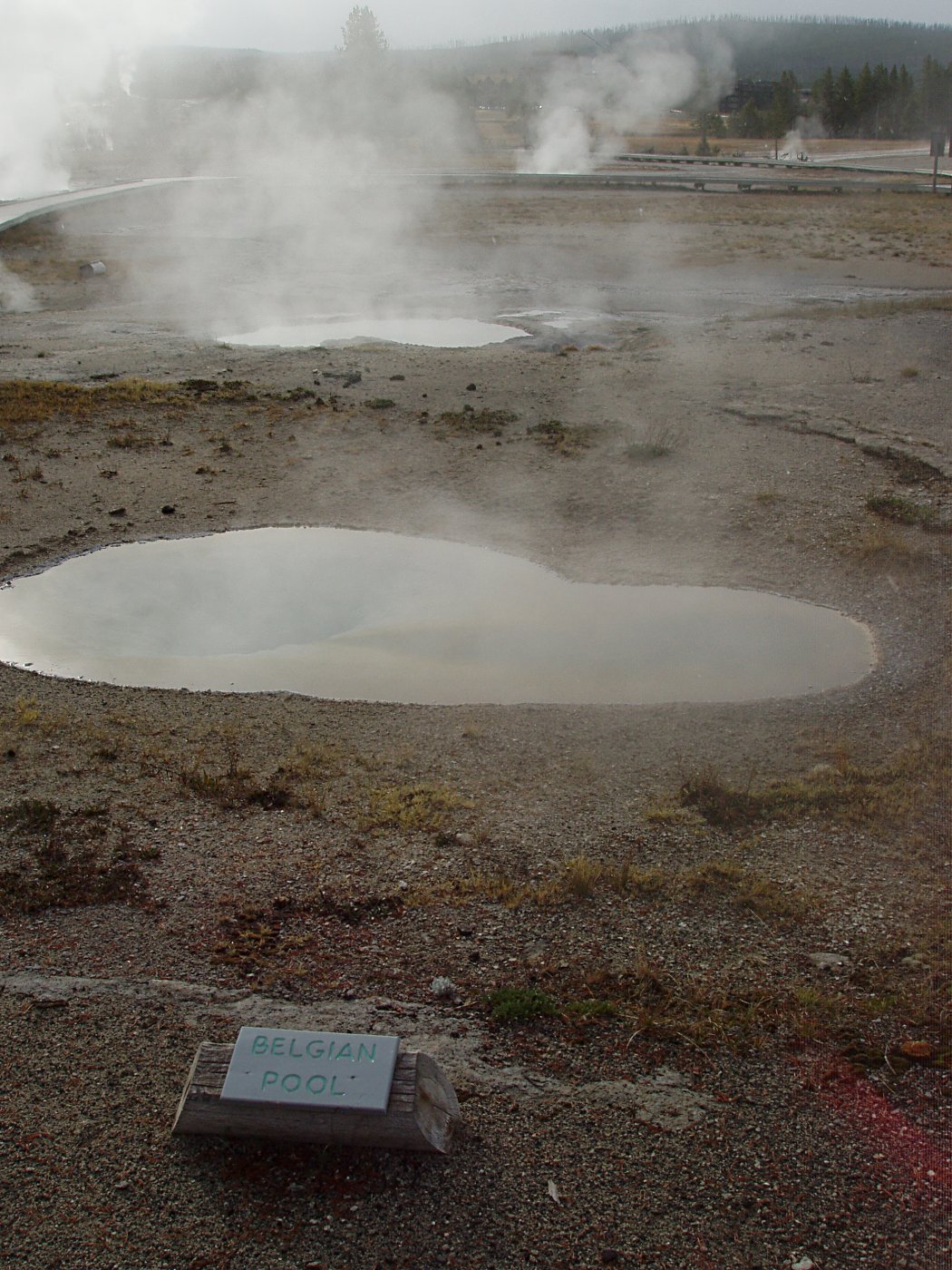 Belgian Pool, Upper Geyser Basin