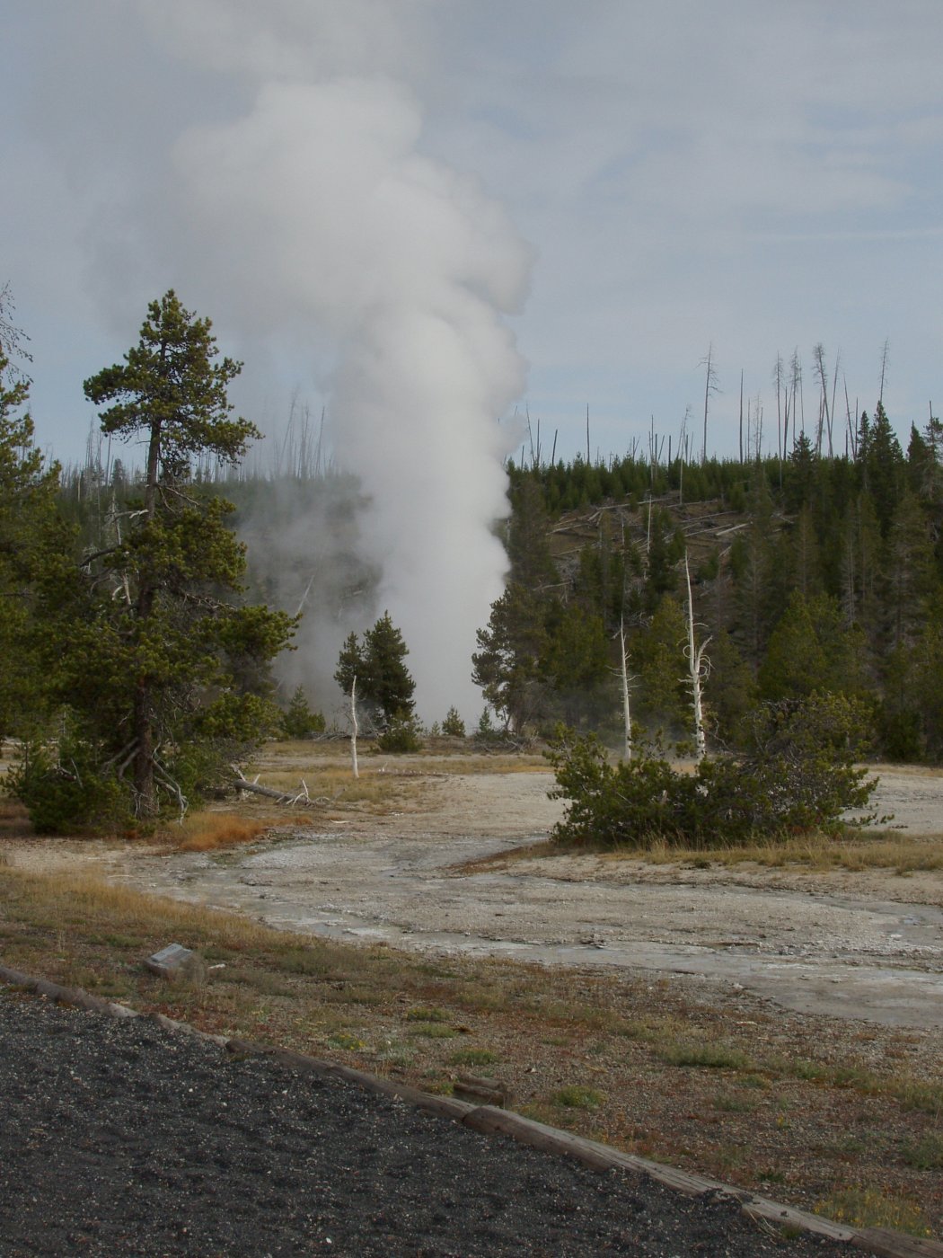 Riverside Geyser Erupting