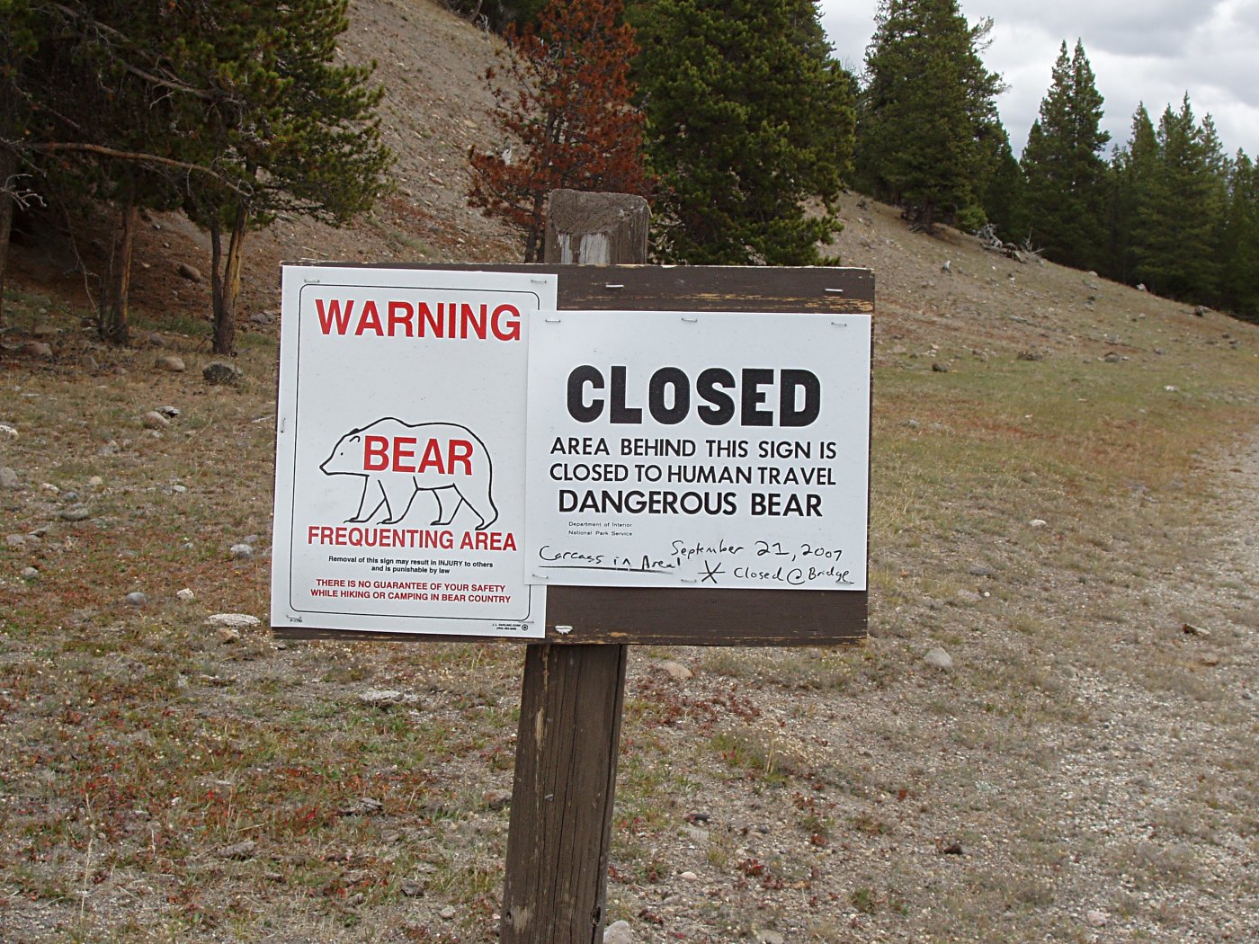 Bear Warning