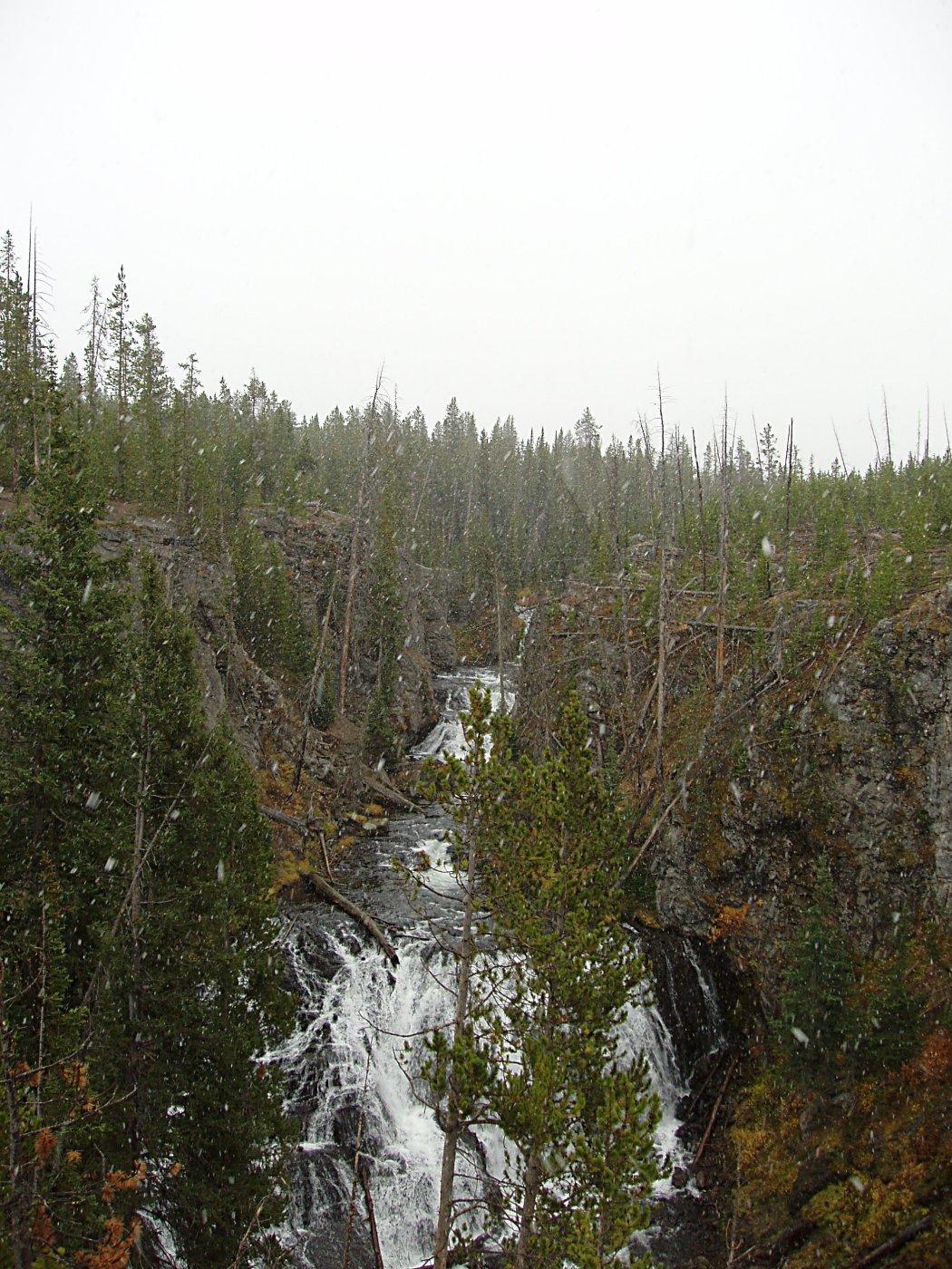 Snow Falling at Gibbon Falls