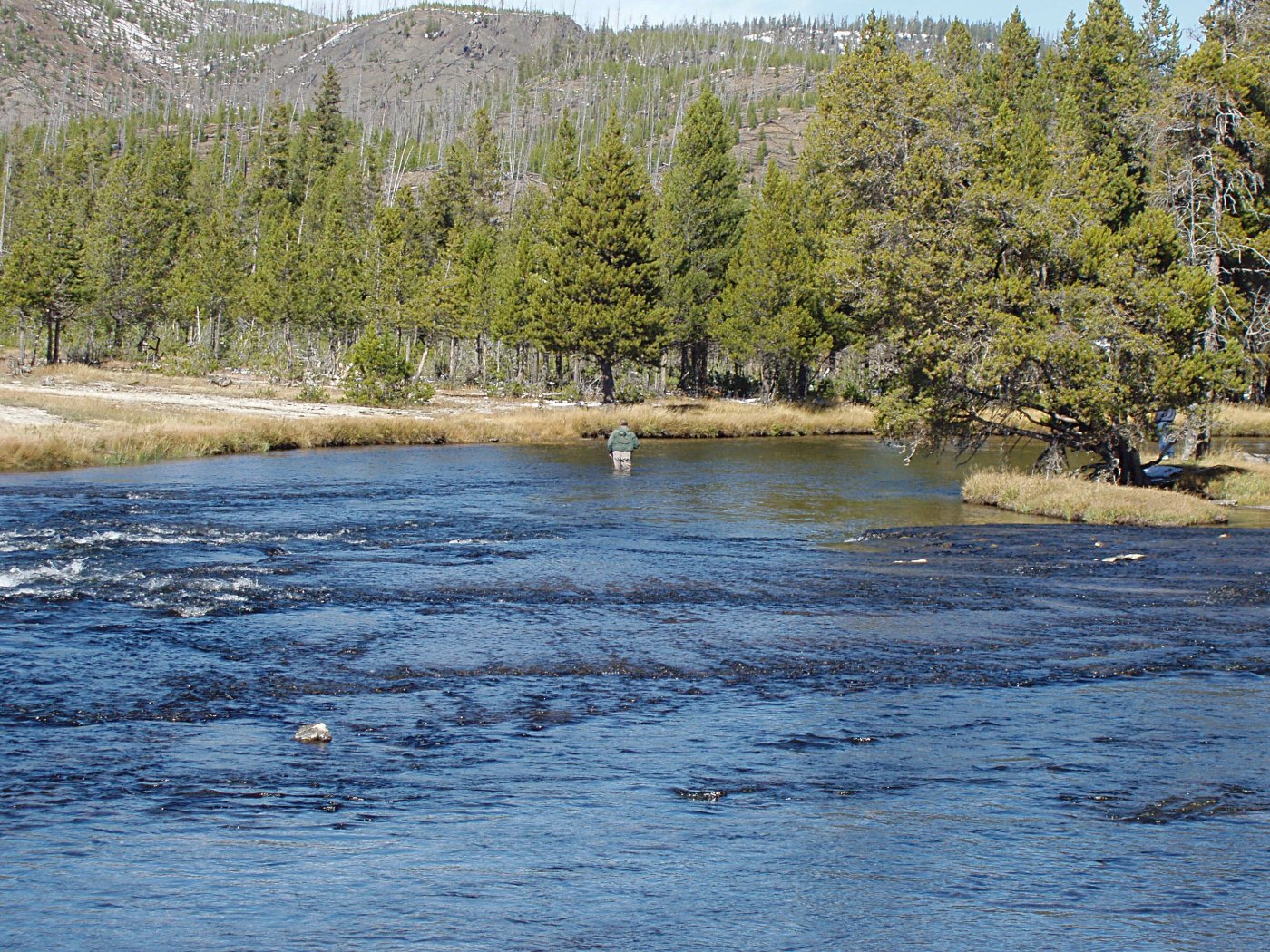 Standing in a cold river