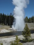 Riverside Geyser Erupting