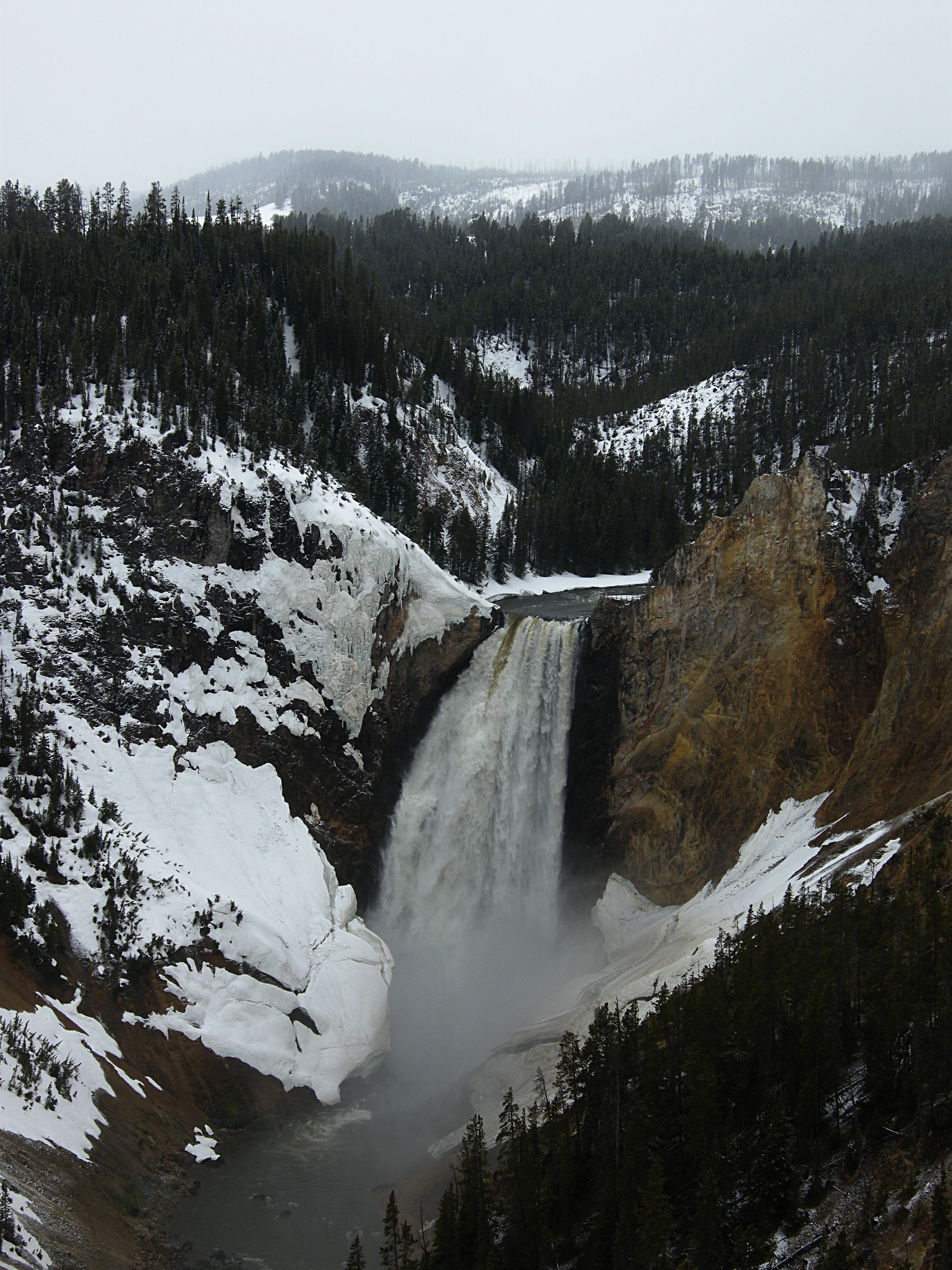 Lower Yellowstone Falls