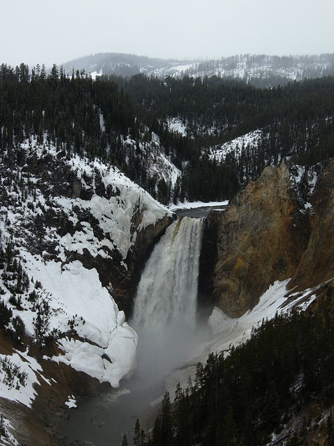 Lower Yellowstone Falls