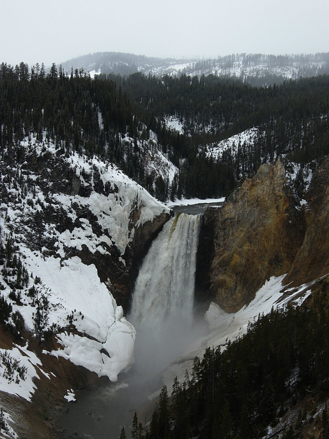 Lower Yellowstone Falls